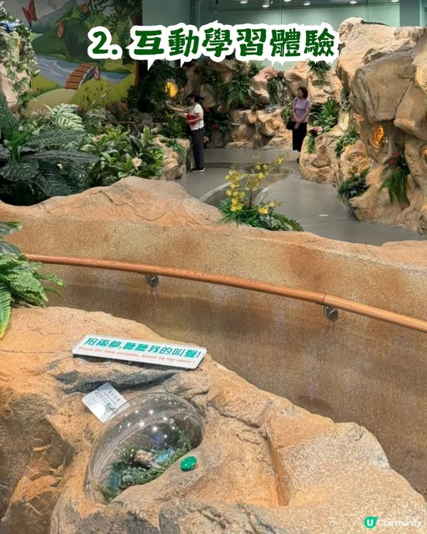香港隱世博物館！大埔海濱公園昆蟲屋$0入場睇模型、玩遊戲 小朋友睇到唔捨得走？   ✨😁