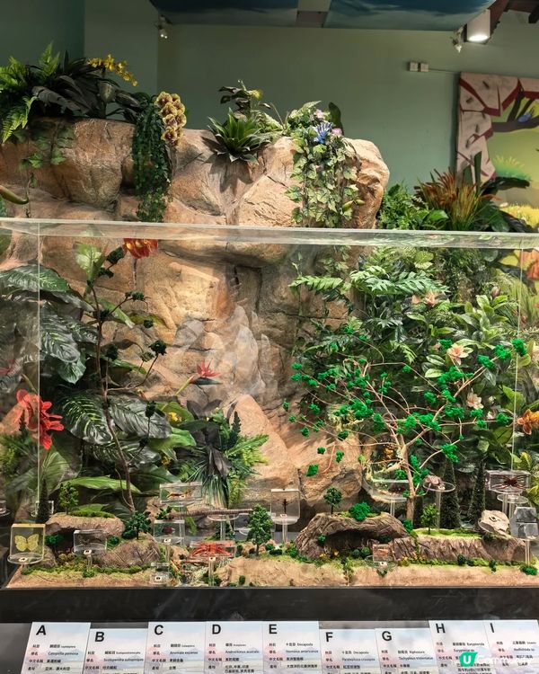 香港隱世博物館！大埔海濱公園昆蟲屋$0入場睇模型、玩遊戲 小朋友睇到唔捨得走？   ✨😁