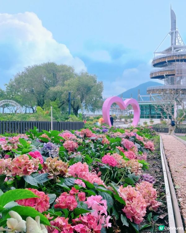 香港隱世博物館！大埔海濱公園昆蟲屋$0入場睇模型、玩遊戲 小朋友睇到唔捨得走？   ✨😁