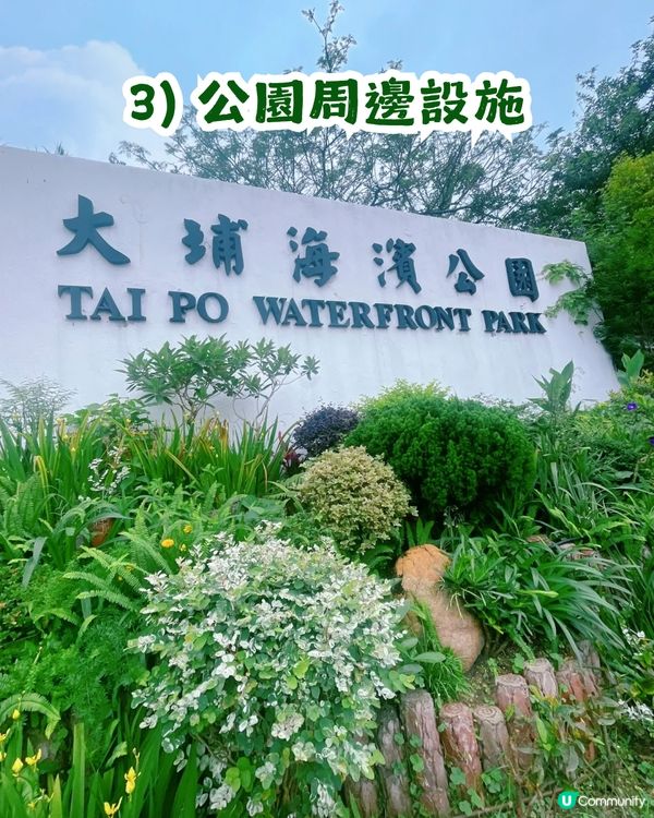 香港隱世博物館！大埔海濱公園昆蟲屋$0入場睇模型、玩遊戲 小朋友睇到唔捨得走？   ✨😁
