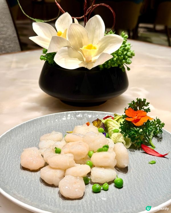 麗豪航天城酒店❣︎玉theJade❣︎