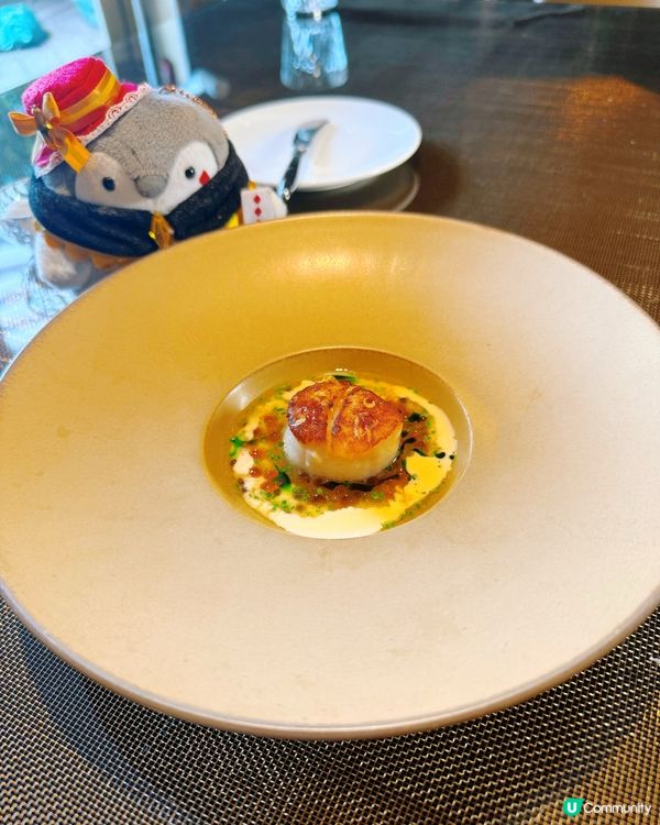 🌟 陽光餐廳 • 頂級享受 😋