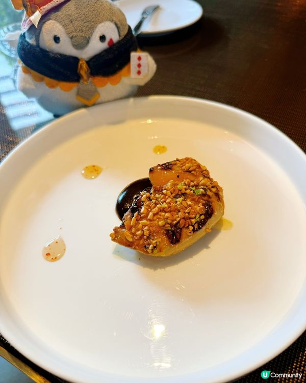 🌟 陽光餐廳 • 頂級享受 😋