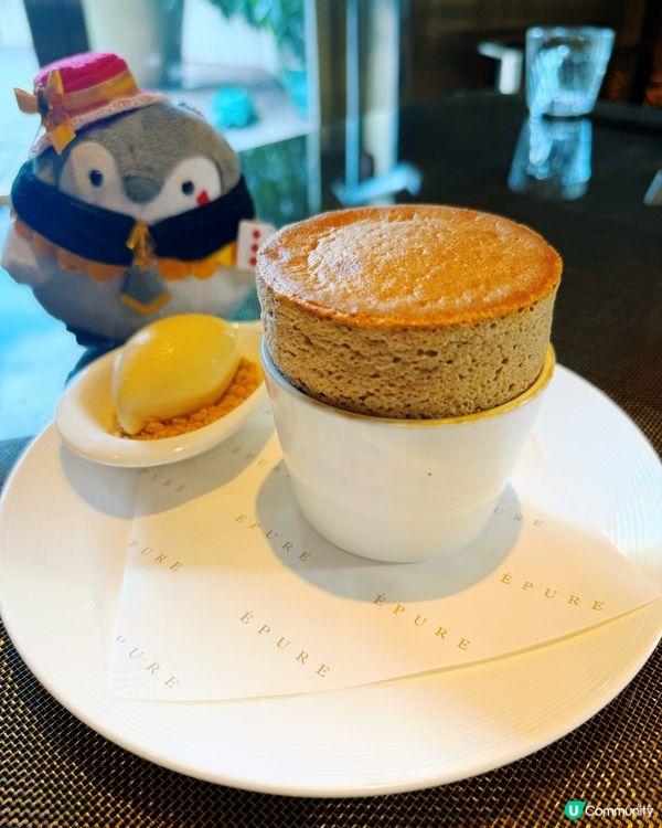 🌟 陽光餐廳 • 頂級享受 😋