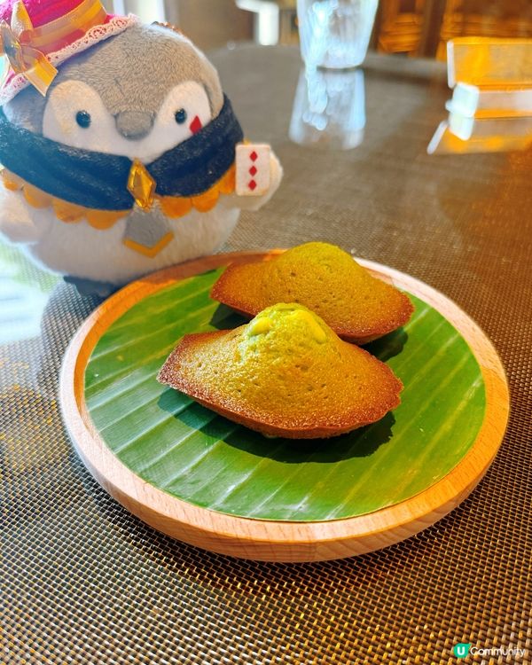 🌟 陽光餐廳 • 頂級享受 😋
