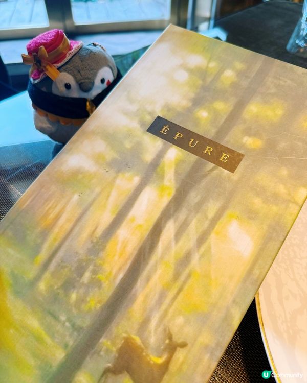 🌟 陽光餐廳 • 頂級享受 😋