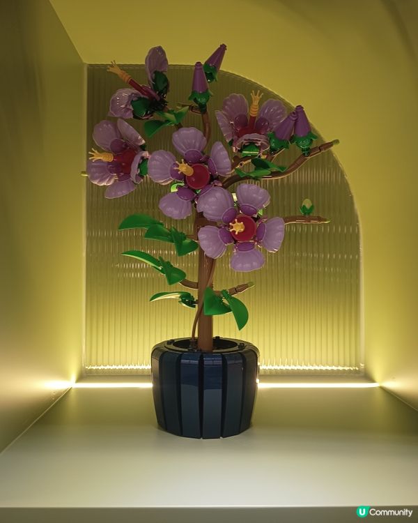 花藝時光！✨🌸｜時代廣場見！