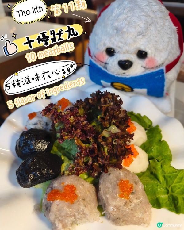 是養生雞煲呀🐔 - 豐鍋雞煲