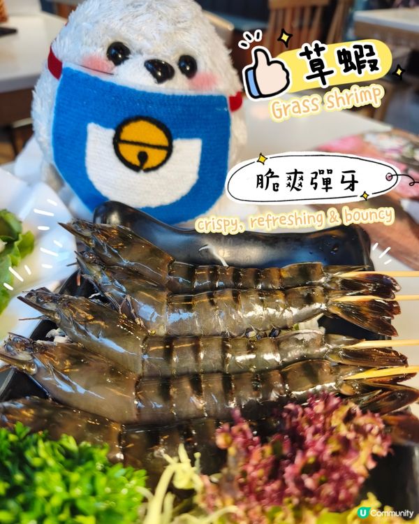是養生雞煲呀🐔 - 豐鍋雞煲