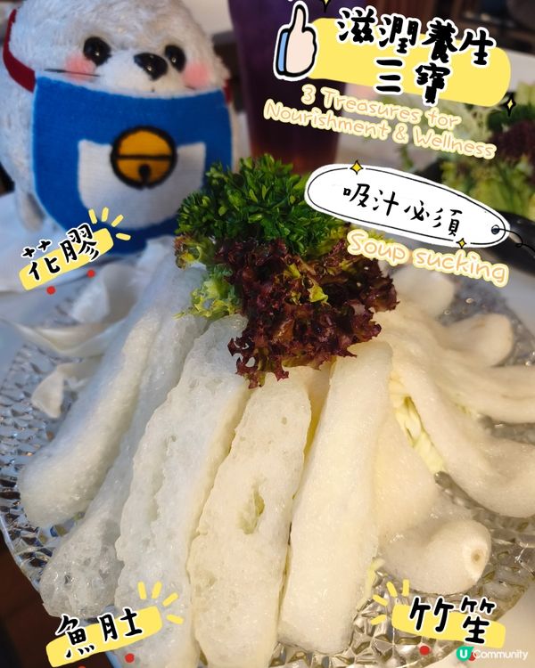 是養生雞煲呀🐔 - 豐鍋雞煲