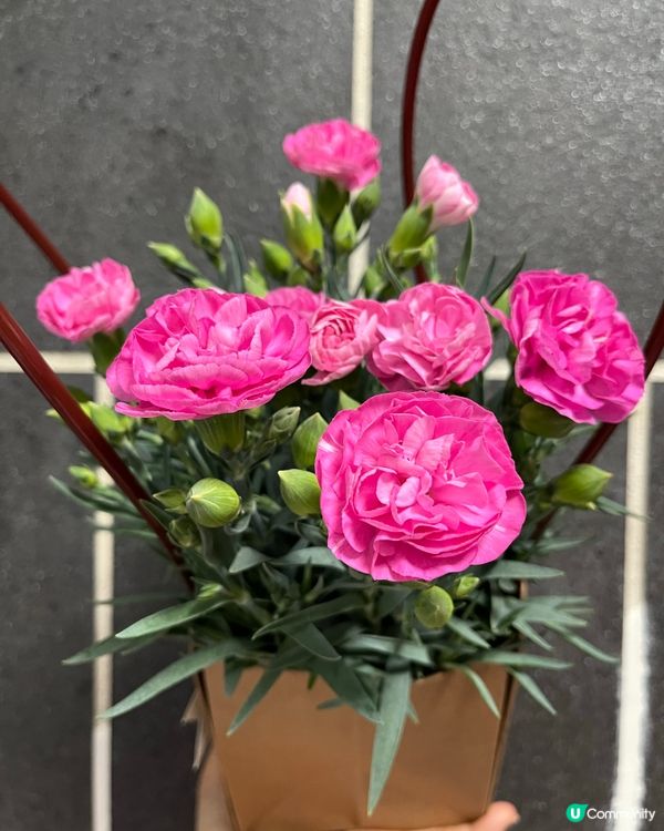 母親節驚喜！🥰 #012