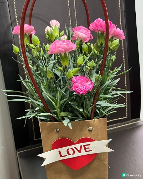 母親節驚喜！🥰 #012