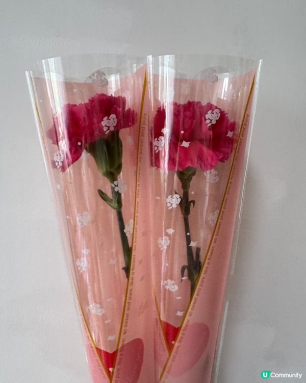 母親節快樂💐