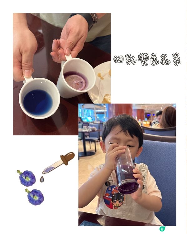 豆腐DIY👩‍🍳非遺樂趣無窮!✨