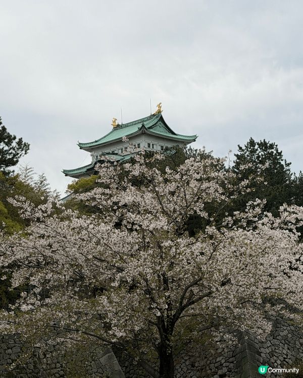 名古屋集結三大親子亮點，超適合帶孩子出遊。日本樂高樂園滿足孩...