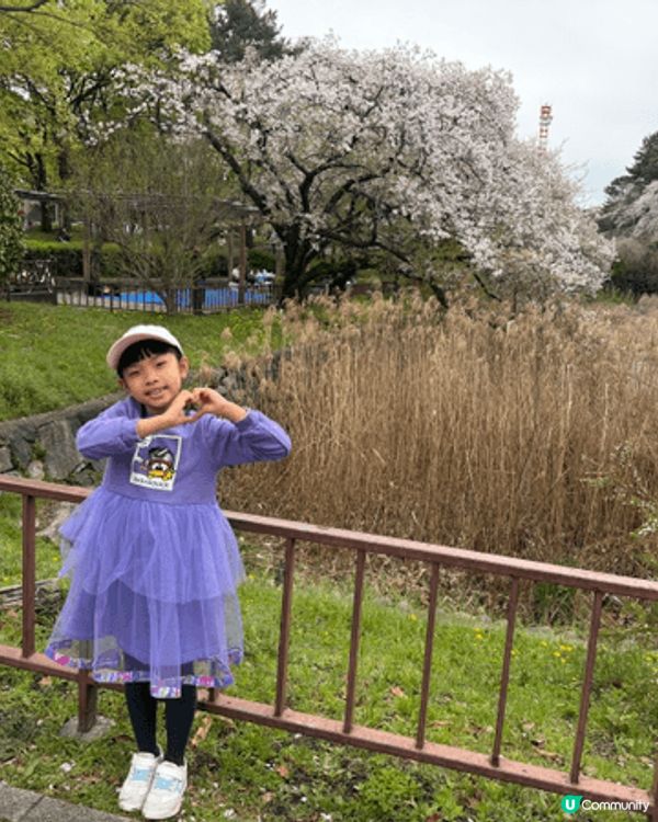 名古屋集結三大親子亮點，超適合帶孩子出遊。日本樂高樂園滿足孩...