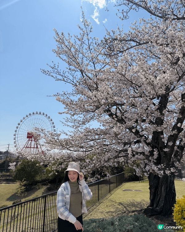 名古屋集結三大親子亮點，超適合帶孩子出遊。日本樂高樂園滿足孩...