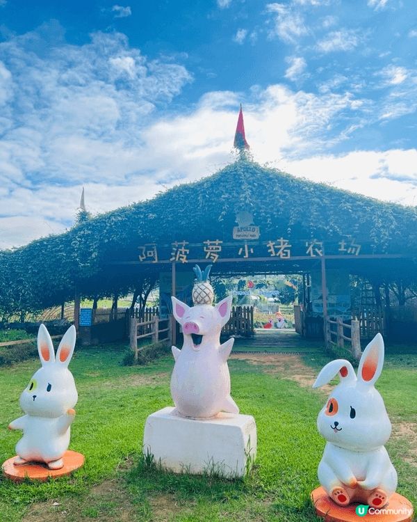 依個地方係广东省深圳市宝安区既一個農莊，佢個名叫阿菠萝小猪农...