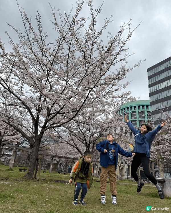 福岡市中比惠公園，我40歲人生第一次賞櫻，仲要有兩位小朋友一...