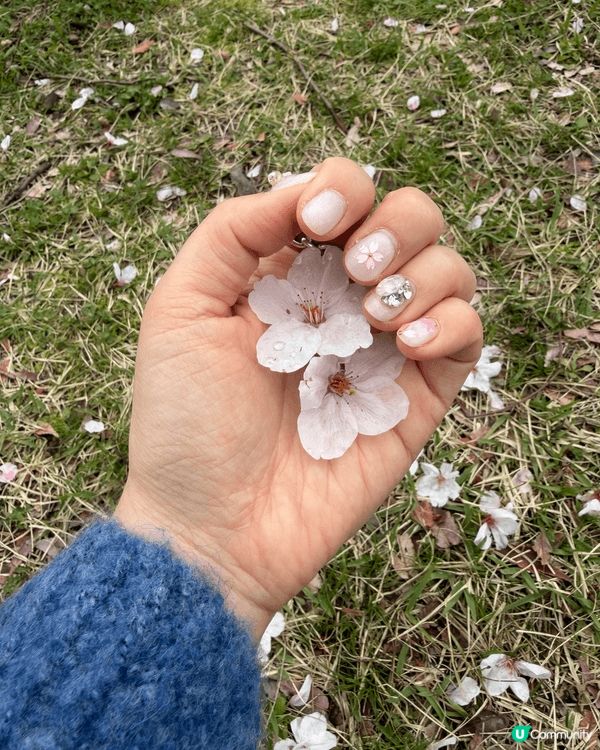 福岡市中比惠公園，我40歲人生第一次賞櫻，仲要有兩位小朋友一...