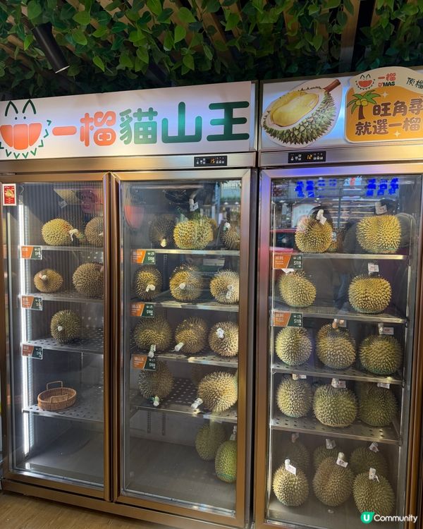 旺角一榴貓山王 榴槤迷必去🤤