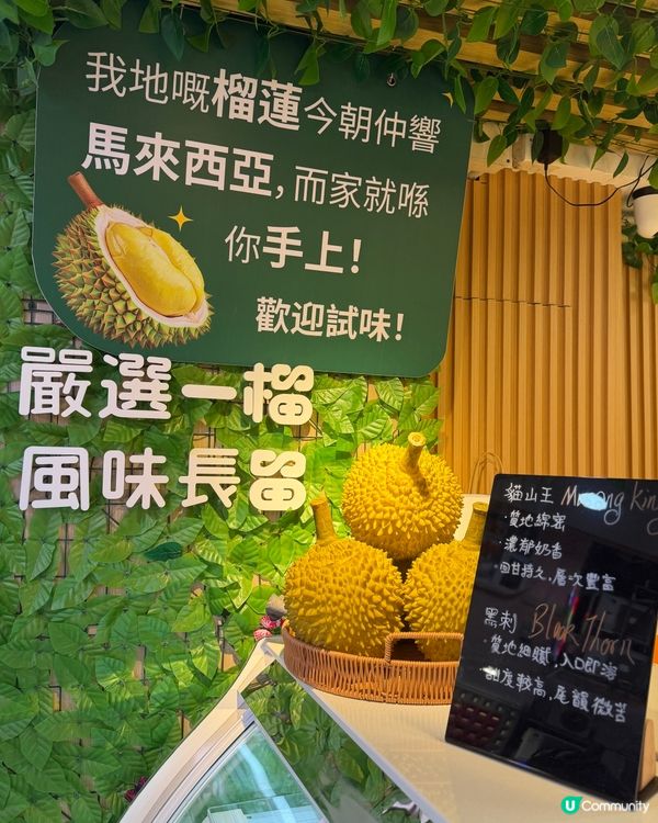 旺角一榴貓山王 榴槤迷必去🤤