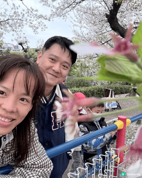 大阪天王寺動物園，最近賞櫻好地點，遊客不太多，遊合