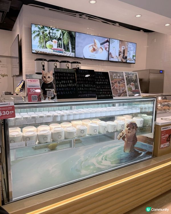 茶大椰 2 店新開！🌴🤤