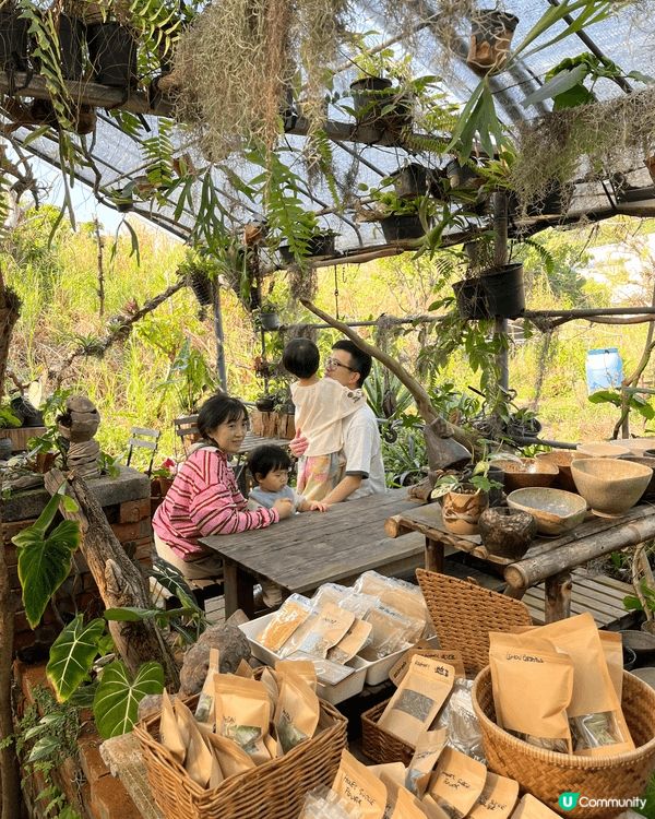 南丫島香草園：basil tea老幼適合，進入點滿自然艾草的...