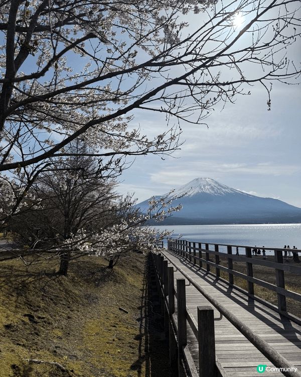 必拍富士山打卡點 