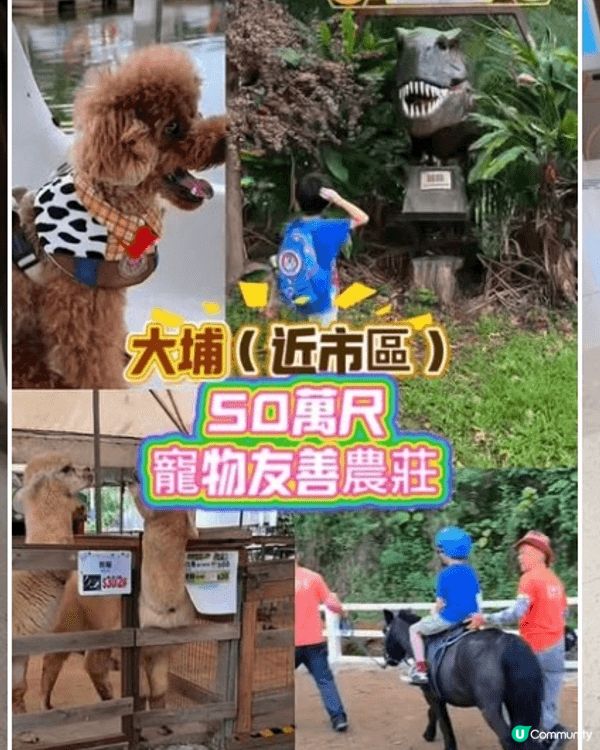 推介地方：大埔蝶豆花園 原因：比較少數毛孩可以接觸多種動物的...
