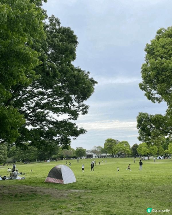 日本名古屋樂高樂園用了1,700萬個樂高積木打造，分為8大主...