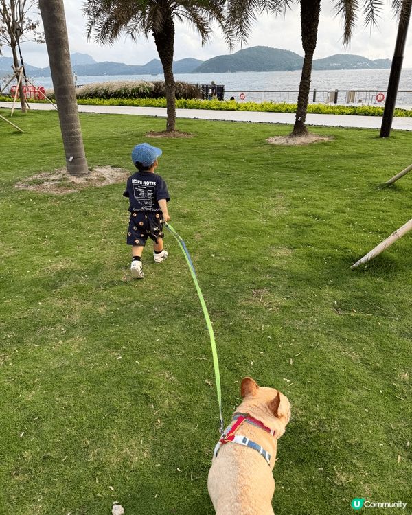 數碼港海濱公園：人寵放電天花板
