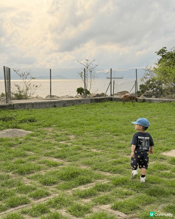 數碼港海濱公園：人寵放電天花板