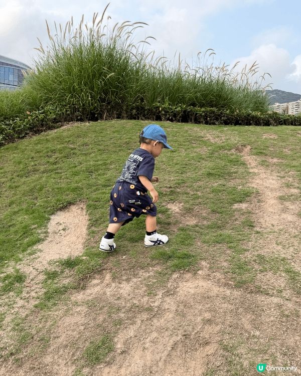 數碼港海濱公園：人寵放電天花板