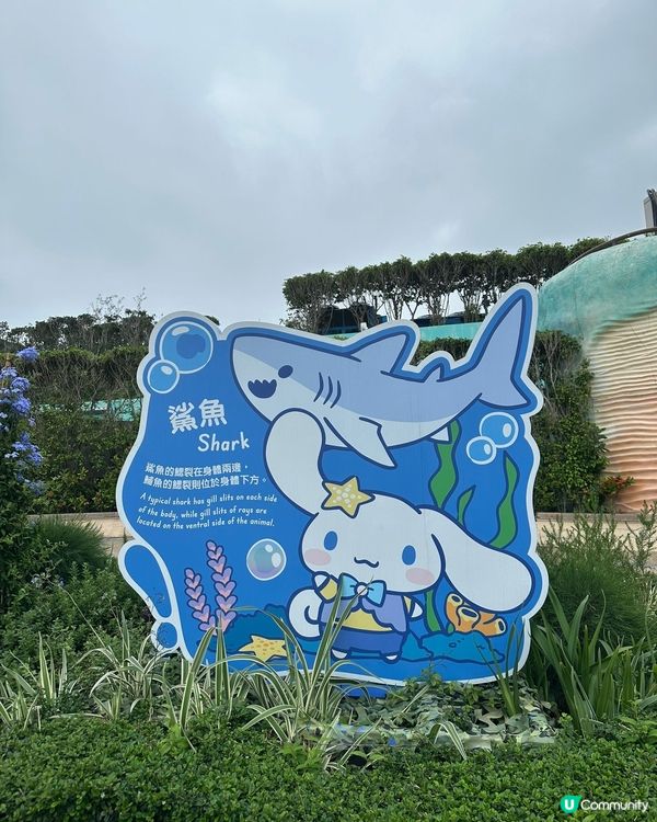 海洋公園 × Sanrio 蔚藍海洋之旅