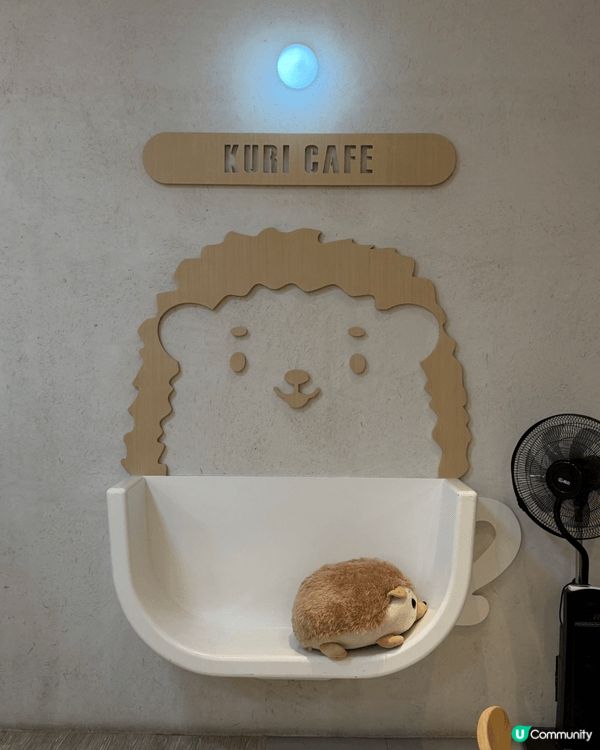 📍大埔｜隱世文青感打卡cafe👇🏻
