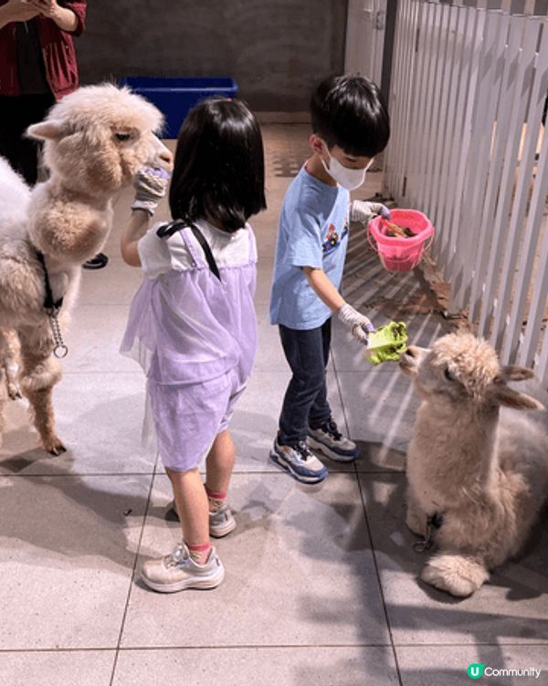 笋岗万象食家，一站式美食、玩樂、購物，在商場內可以玩足一整天...