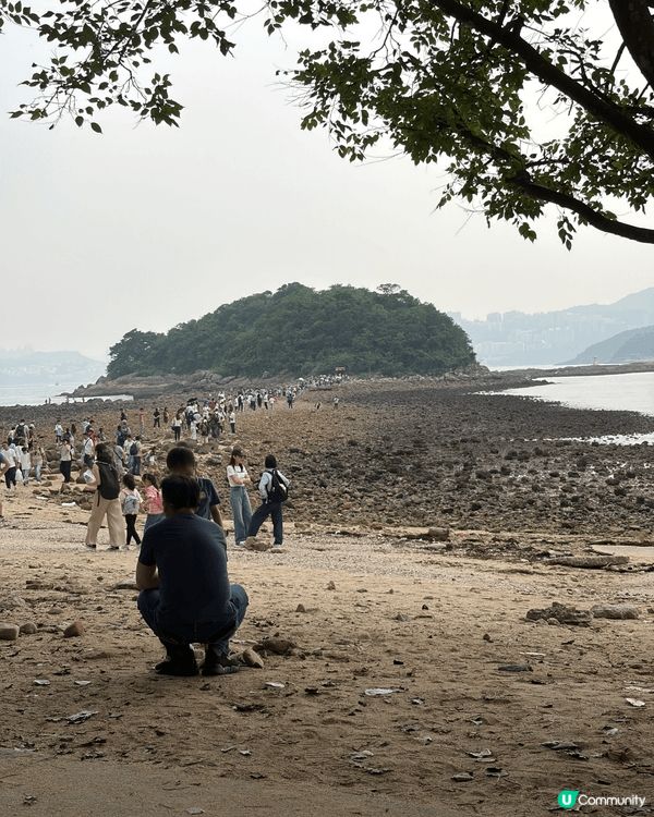 西貢鹽田梓和西貢橋咀島: