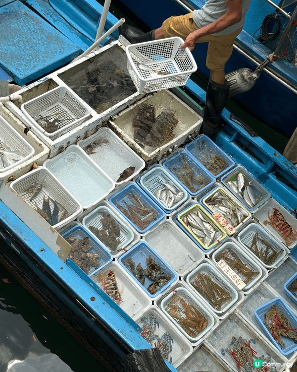 西貢鹽田梓和西貢橋咀島: