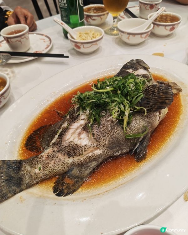 媽咪話要食豪啲！🦞鮑魚龍蝦全包宴！💖
