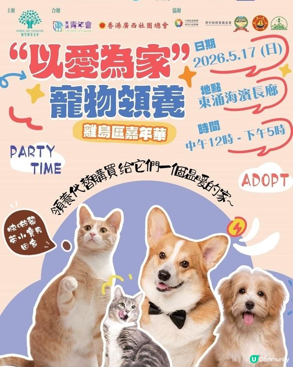 給牠們一個溫暖的家 ❤️ 讓愛延續