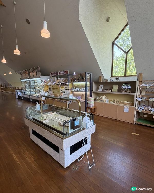 札幌遊🍦富良野芝士！🧀🤩