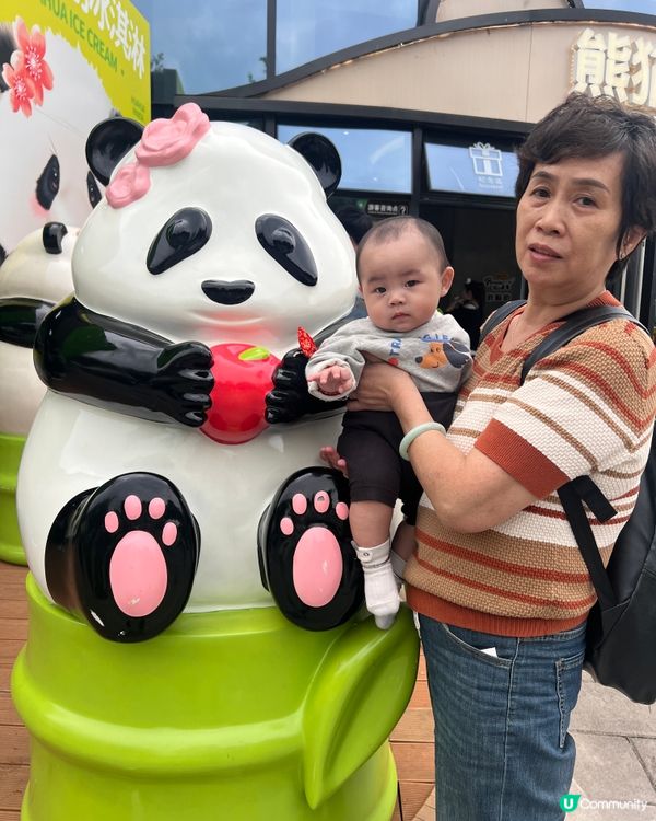 大BB睇熊貓🐼