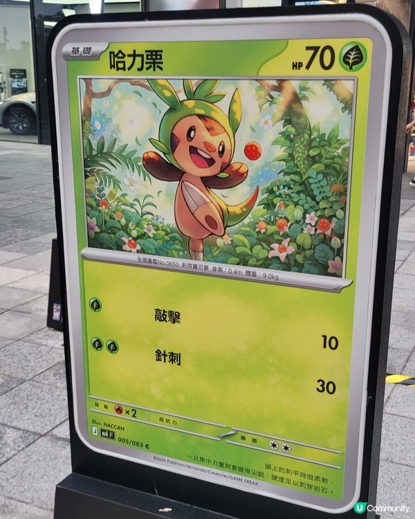 寶可夢巨型卡牌