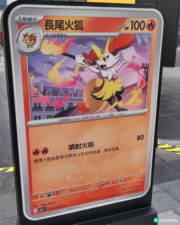 寶可夢巨型卡牌