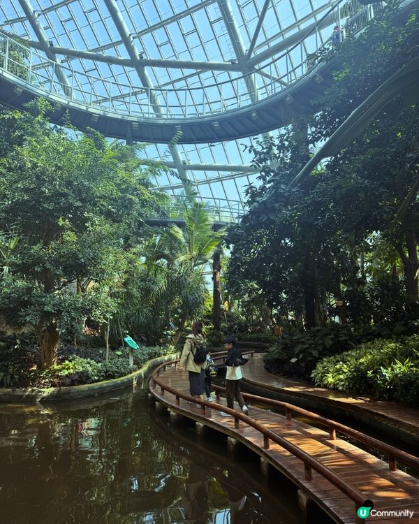 免費入場：巨型溫室植物園