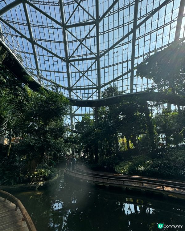 免費入場：巨型溫室植物園