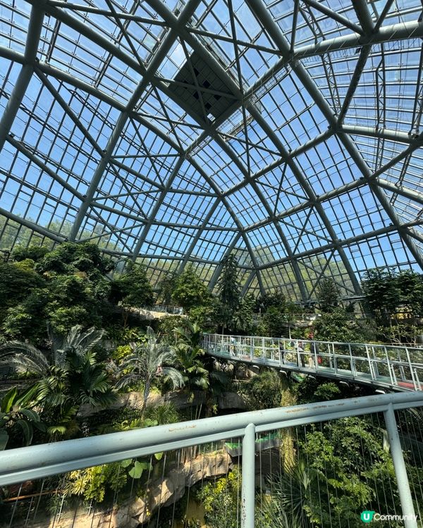 免費入場：巨型溫室植物園