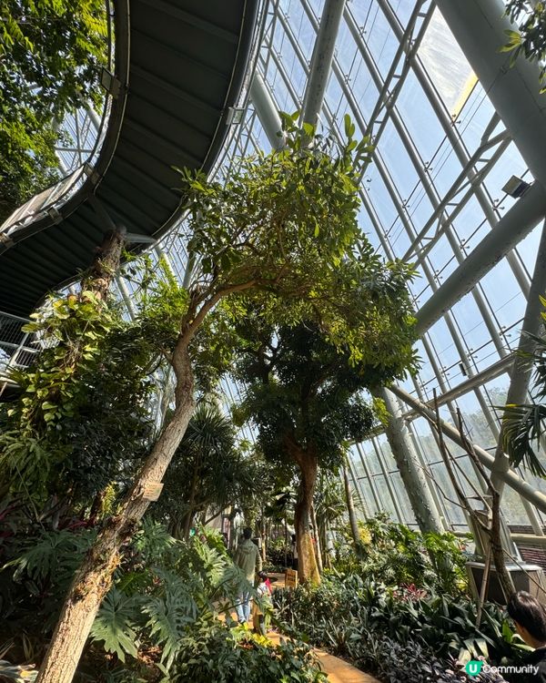 免費入場：巨型溫室植物園